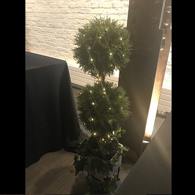 Double Cypress Topiary with micro lighting - Idea Gallery - lighted topiary tree photo idea